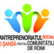 Antreprenoriat Social